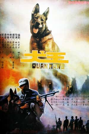 国语电影《犬王》(1993)-小众纪录片电影下载蓝光4K/1080P/720P/360P高清标清网盘BT迅雷下载