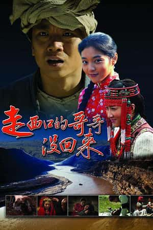 国语电影《走西口的哥哥没回来》(2013)-小众纪录片电影下载蓝光4K/1080P/720P/360P高清标清网盘BT迅雷下载