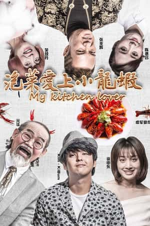 国语电影《泡菜爱上小龙虾》(2018)-小众纪录片电影下载蓝光4K/1080P/720P/360P高清标清网盘BT迅雷下载