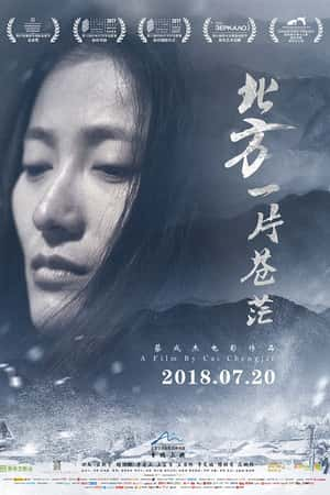 国语电影《北方一片苍茫》(2017)-小众纪录片电影下载蓝光4K/1080P/720P/360P高清标清网盘BT迅雷下载