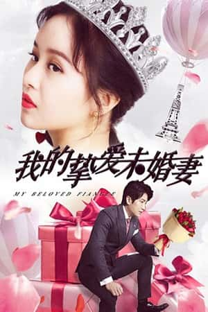 国语电影《我的挚爱未婚妻》(2018)-小众纪录片电影下载蓝光4K/1080P/720P/360P高清标清网盘BT迅雷下载