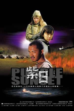 国语电影《紫日》(2001)-小众纪录片电影下载蓝光4K/1080P/720P/360P高清标清网盘BT迅雷下载