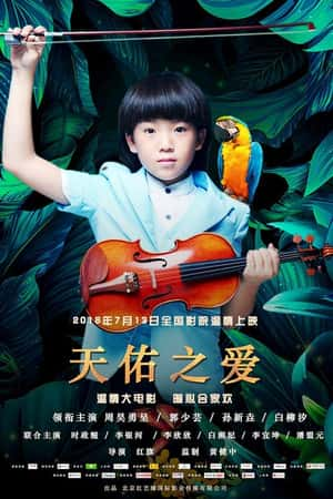 国语电影《天佑之爱》(2018)-小众纪录片电影下载蓝光4K/1080P/720P/360P高清标清网盘BT迅雷下载