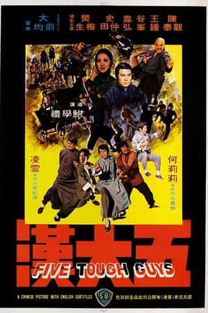 国语电影《五大汉》(1974)五大漢-小众纪录片电影下载蓝光4K/1080P/720P/360P高清标清网盘BT迅雷下载