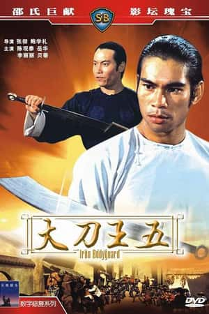 国语电影《大刀王五》(1973)-小众纪录片电影下载蓝光4K/1080P/720P/360P高清标清网盘BT迅雷下载