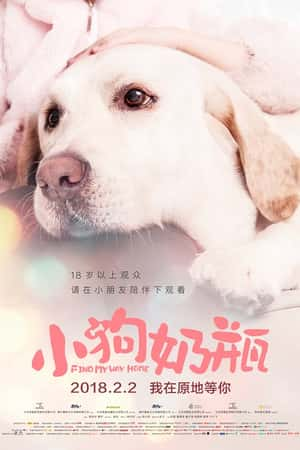 国语电影《健忘村》(2017)-小众纪录片电影下载蓝光4K/1080P/720P/360P高清标清网盘BT迅雷下载