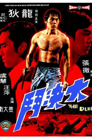 国语电影《大决斗》(1971)大決鬥-小众纪录片电影下载蓝光4K/1080P/720P/360P高清标清网盘BT迅雷下载