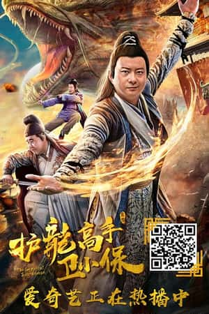 国语电影《护龙高手卫小保》(2018)-小众纪录片电影下载蓝光4K/1080P/720P/360P高清标清网盘BT迅雷下载