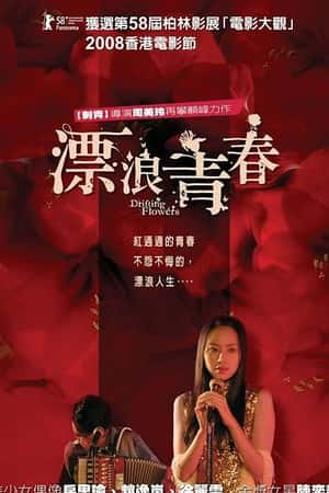 国语电影《漂浪青春》(2008)-小众纪录片电影下载蓝光4K/1080P/720P/360P高清标清网盘BT迅雷下载