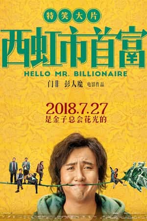 国语电影《西虹市首富》(2018)-小众纪录片电影下载蓝光4K/1080P/720P/360P高清标清网盘BT迅雷下载