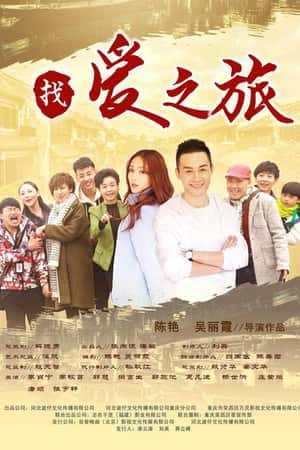 国语电影《找爱之旅》(2018)-小众纪录片电影下载蓝光4K/1080P/720P/360P高清标清网盘BT迅雷下载