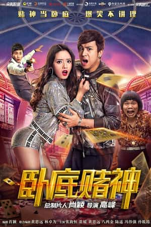 国语电影《卧底赌神》(2017)-小众纪录片电影下载蓝光4K/1080P/720P/360P高清标清网盘BT迅雷下载