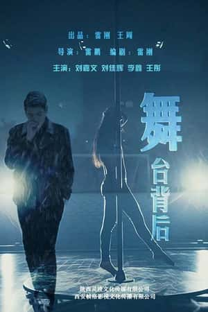 国语电影《舞台背后》(2017)-小众纪录片电影下载蓝光4K/1080P/720P/360P高清标清网盘BT迅雷下载