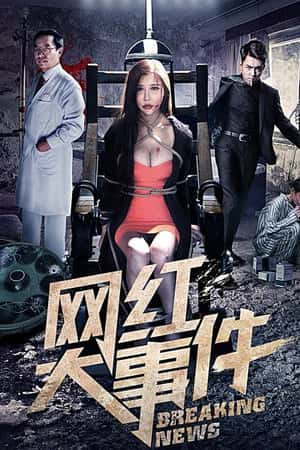 国语电影《网红大事件》(2018)-小众纪录片电影下载蓝光4K/1080P/720P/360P高清标清网盘BT迅雷下载