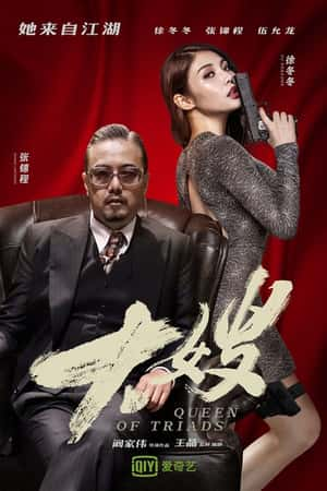 国语电影《大嫂》(2017)-小众纪录片电影下载蓝光4K/1080P/720P/360P高清标清网盘BT迅雷下载