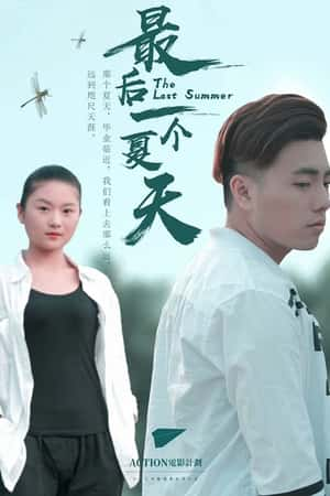 国语电影《最后一个夏天》(2018)-小众纪录片电影下载蓝光4K/1080P/720P/360P高清标清网盘BT迅雷下载