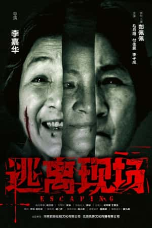 国语电影《逃离现场》(2017)-小众纪录片电影下载蓝光4K/1080P/720P/360P高清标清网盘BT迅雷下载