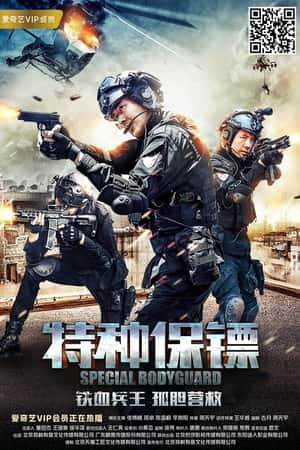 国语电影《特种保镖》(2018)-小众纪录片电影下载蓝光4K/1080P/720P/360P高清标清网盘BT迅雷下载