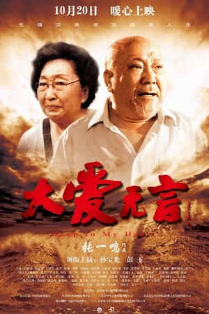 国语电影《大爱无言》(2017)-小众纪录片电影下载蓝光4K/1080P/720P/360P高清标清网盘BT迅雷下载