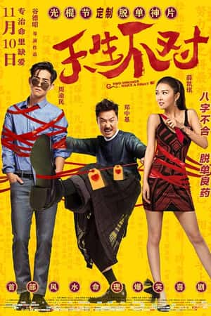 国语电影《天生不对》(2017)-小众纪录片电影下载蓝光4K/1080P/720P/360P高清标清网盘BT迅雷下载