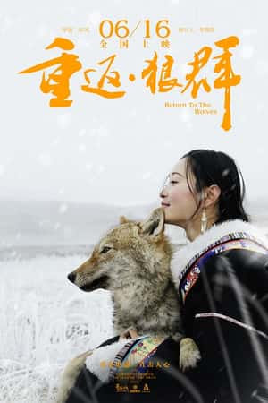 国语电影《重返·狼群》(2017)-小众纪录片电影下载蓝光4K/1080P/720P/360P高清标清网盘BT迅雷下载