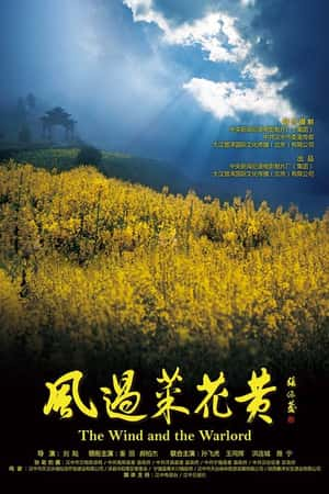 国语电影《风过菜花黄》(2012)-小众纪录片电影下载蓝光4K/1080P/720P/360P高清标清网盘BT迅雷下载