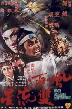 国语电影《风雨双流星》(1976)風雨雙流星-小众纪录片电影下载蓝光4K/1080P/720P/360P高清标清网盘BT迅雷下载