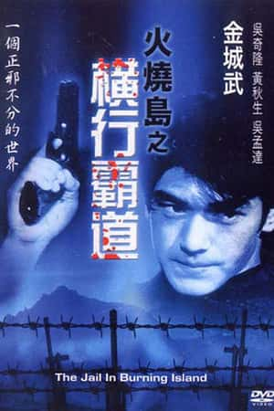 国语电影《火烧岛之横行霸道》(1997)火燒島之橫行霸道-小众纪录片电影下载蓝光4K/1080P/720P/360P高清标清网盘BT迅雷下载