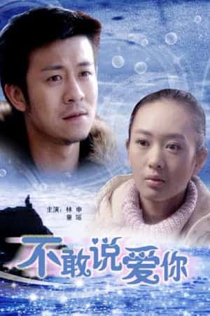 国语电影《不敢说爱你》(2008)-小众纪录片电影下载蓝光4K/1080P/720P/360P高清标清网盘BT迅雷下载