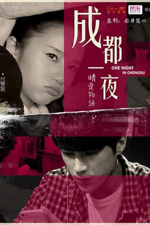 国语电影《王的男妃》(2017)王的男妃-小众纪录片电影下载蓝光4K/1080P/720P/360P高清标清网盘BT迅雷下载