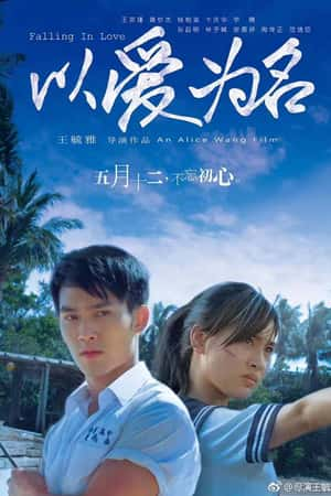 国语电影《以爱为名》(2017)以愛為名-小众纪录片电影下载蓝光4K/1080P/720P/360P高清标清网盘BT迅雷下载