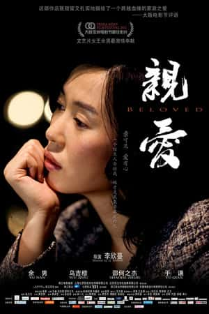 国语电影《亲·爱》(2013)-小众纪录片电影下载蓝光4K/1080P/720P/360P高清标清网盘BT迅雷下载