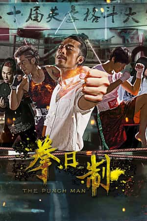 国语电影《拳日制》(2017)拳日制-小众纪录片电影下载蓝光4K/1080P/720P/360P高清标清网盘BT迅雷下载