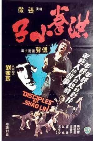 国语电影《洪拳小子》(1975)洪拳小子-小众纪录片电影下载蓝光4K/1080P/720P/360P高清标清网盘BT迅雷下载