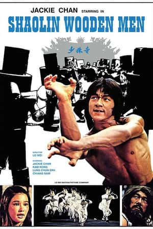 国语电影《少林木人巷》(1976)少林木人巷-小众纪录片电影下载蓝光4K/1080P/720P/360P高清标清网盘BT迅雷下载