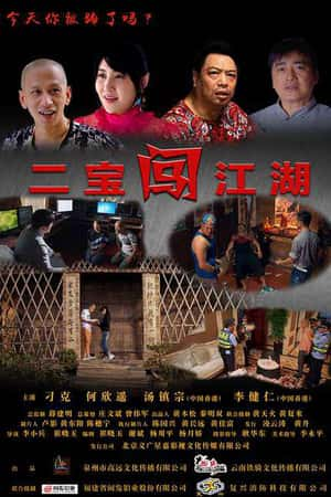 国语电影《二宝闯江湖》(2017)二宝闯江湖-小众纪录片电影下载蓝光4K/1080P/720P/360P高清标清网盘BT迅雷下载