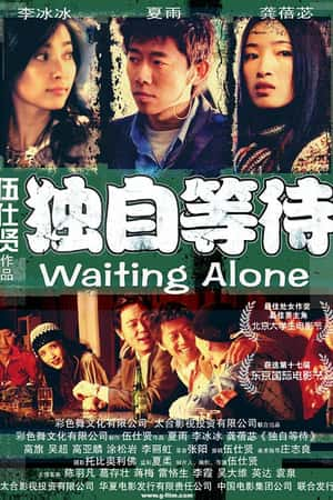 国语电影《独自等待》(2005)-小众纪录片电影下载蓝光4K/1080P/720P/360P高清标清网盘BT迅雷下载