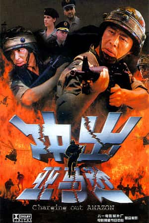 国语电影《冲出亚马逊》(2002)-小众纪录片电影下载蓝光4K/1080P/720P/360P高清标清网盘BT迅雷下载