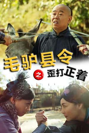 国语电影《毛驴县令之歪打正着》(2014)-小众纪录片电影下载蓝光4K/1080P/720P/360P高清标清网盘BT迅雷下载