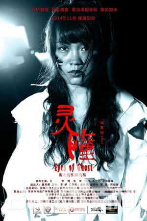 国语电影《灵瞳》(2014)-小众纪录片电影下载蓝光4K/1080P/720P/360P高清标清网盘BT迅雷下载