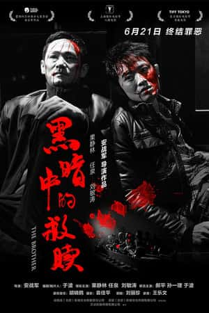 国语电影《黑暗中的救赎》(2012)-小众纪录片电影下载蓝光4K/1080P/720P/360P高清标清网盘BT迅雷下载