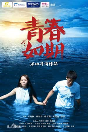 国语电影《青春如期》(2013)-小众纪录片电影下载蓝光4K/1080P/720P/360P高清标清网盘BT迅雷下载