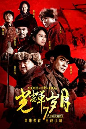 国语电影《光辉岁月》(2013)-小众纪录片电影下载蓝光4K/1080P/720P/360P高清标清网盘BT迅雷下载