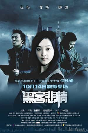 国语电影《黑客悲情》(2011)-小众纪录片电影下载蓝光4K/1080P/720P/360P高清标清网盘BT迅雷下载