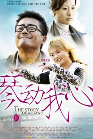 国语电影《琴动我心》(2010)-小众纪录片电影下载蓝光4K/1080P/720P/360P高清标清网盘BT迅雷下载