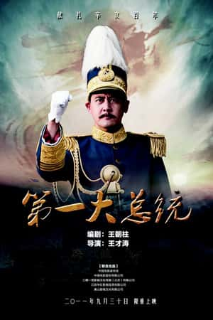 国语电影《第一大总统》(2011)-小众纪录片电影下载蓝光4K/1080P/720P/360P高清标清网盘BT迅雷下载