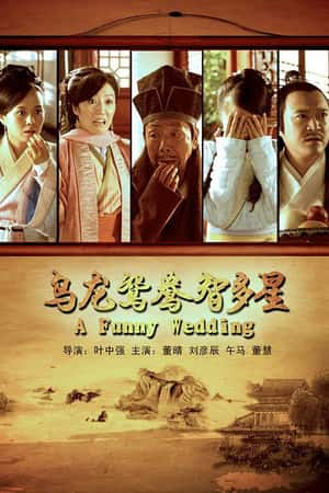 国语电影《乌龙鸳鸯智多星》(2013)-小众纪录片电影下载蓝光4K/1080P/720P/360P高清标清网盘BT迅雷下载