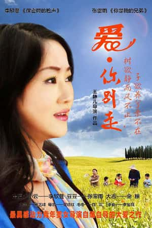 国语电影《爱·你别走》(2013)-小众纪录片电影下载蓝光4K/1080P/720P/360P高清标清网盘BT迅雷下载