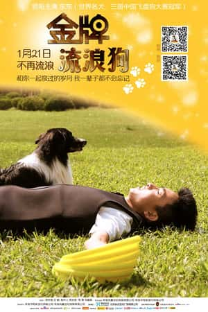 国语电影《金牌流浪狗》(2013)-小众纪录片电影下载蓝光4K/1080P/720P/360P高清标清网盘BT迅雷下载