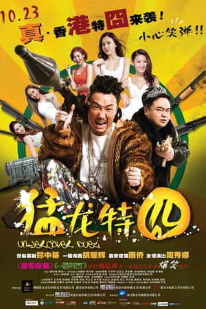 国语电影《猛龙特囧》(2015)-小众纪录片电影下载蓝光4K/1080P/720P/360P高清标清网盘BT迅雷下载